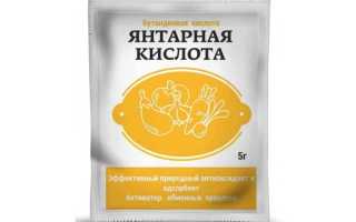 Как использовать янтарную кислоту для помидор
