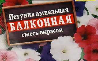 Как вырастить рассаду петунии из семян в домашних условиях