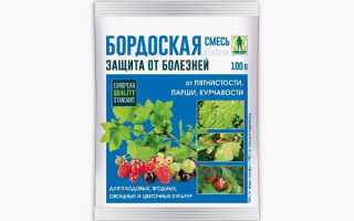 Как обработать клубнику бордосской жидкостью