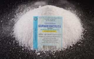 Как подкормить клубнику борной кислотой