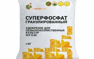 Подкормка чеснока суперфосфатом