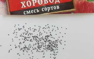Рассада портулака: как вырастить из семян, сроки посева