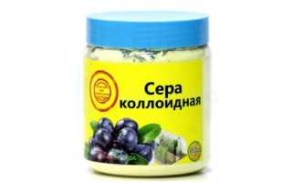 Правила и способы применения коллоидной серы для голубики