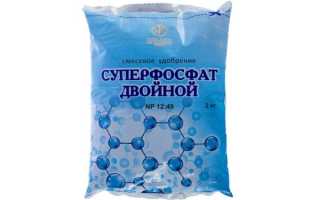 Как подкормить клубнику суперфосфатом весной и осенью