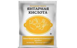 Применение янтарной кислоты для клубники