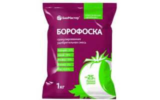 Подкормка клубники борофоской