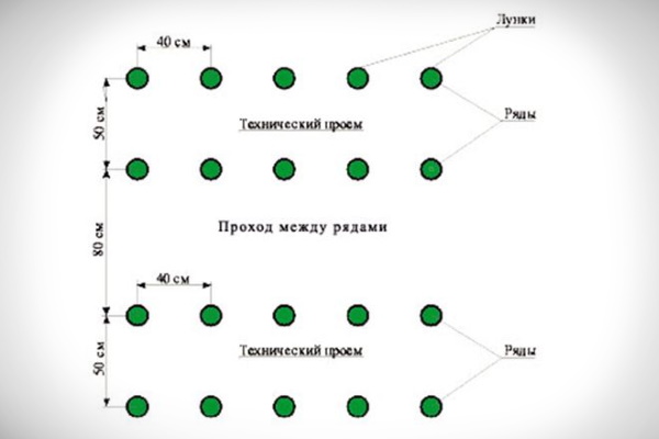 Ленточный способ