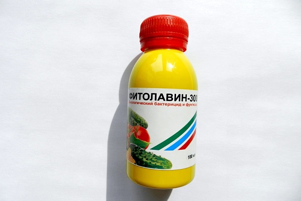 Фитофлавин-300