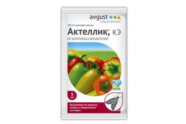 Актеллик