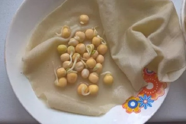 Пророщенный горох