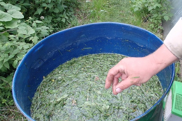 Травяной настой