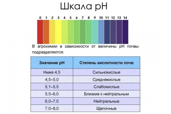 Шкала pH