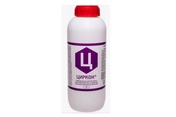 Циркон