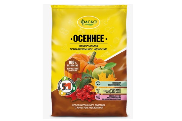 Фаско Осеннее