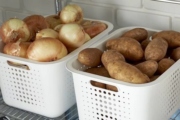 Хранение лука и картофеля