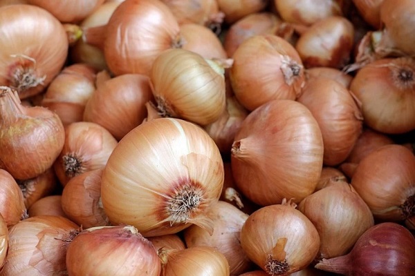 Лук