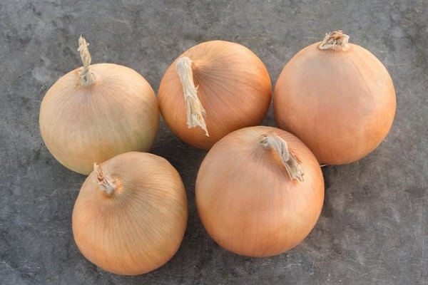 Лук