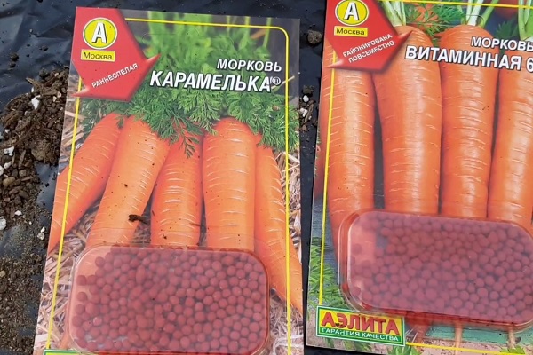 Семена моркови в гранулах