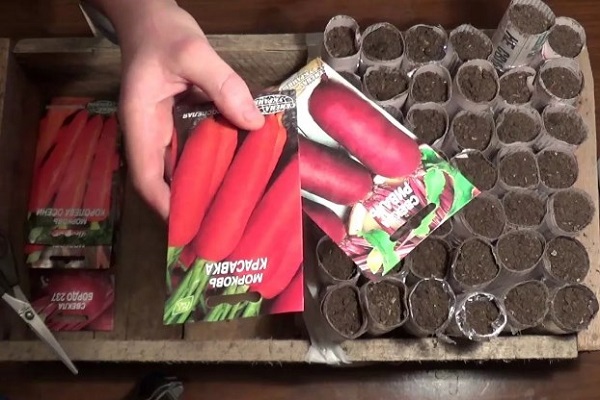Посев моркови на рассаду