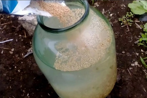 Дрожжи с водой