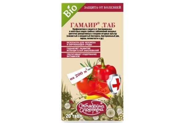 Гамаир