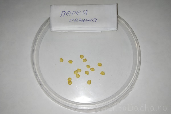 Семена перца