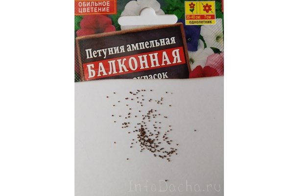 Семена петунии