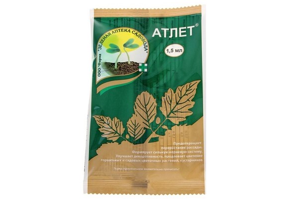 Атлет для рассады