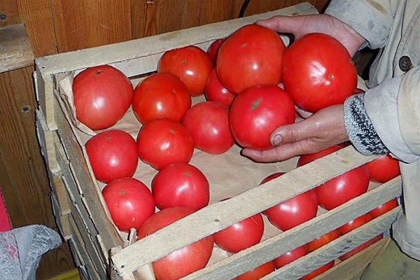 Помидоры в ящике