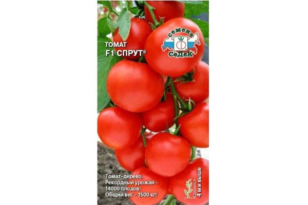 Семена томата Спрут