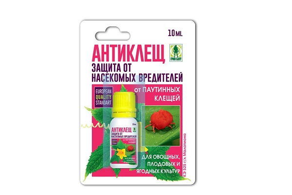 Антиклещ
