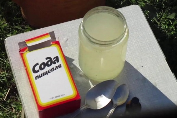 Сода как удобрение