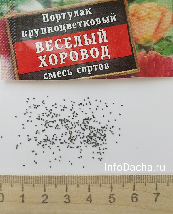Портулак семена