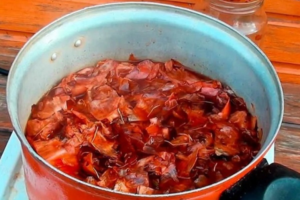 Настой луковой шелухи