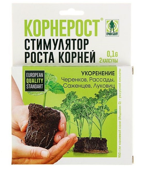 Корнерост