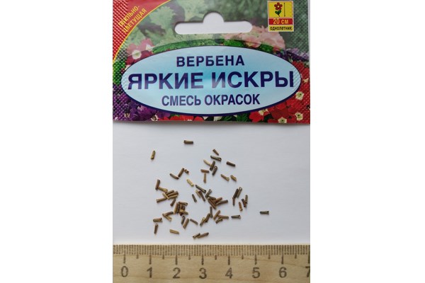 Семена вербены